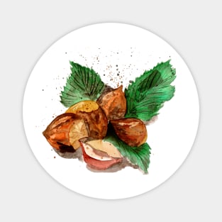 Hazelnuts Watercolor Magnet